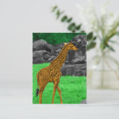 Giraffe-Foto, orange und grün Postkarte (Stehend Vorderseite)