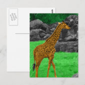 Giraffe-Foto, orange und grün Postkarte (Vorne/Hinten)