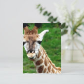 Giraffe Foto Postkarte (Stehend Vorderseite)