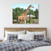 Giraffe Foto Rhonda Patton Canvas Print Leinwanddruck (Insitu (Schlafzimmer))