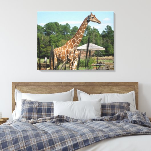 Giraffe Foto Rhonda Patton Canvas Print Leinwanddruck (Insitu (Schlafzimmer))