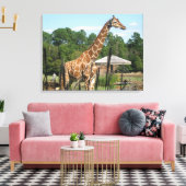 Giraffe Foto Rhonda Patton Canvas Print Leinwanddruck (Insitu (Wohnzimmer))