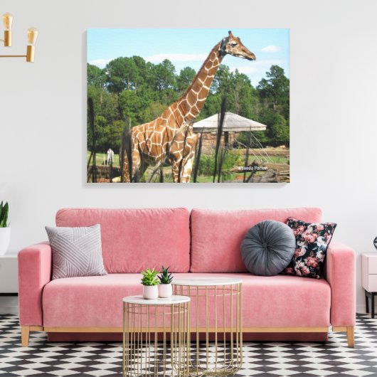 Giraffe Foto Rhonda Patton Canvas Print Leinwanddruck (Insitu (Wohnzimmer))