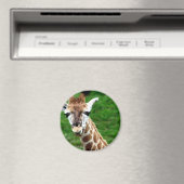 Giraffe Foto Round Magnet (In Situ (Geschirrspüler))
