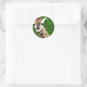 Giraffe Foto Stickers (Tasche)
