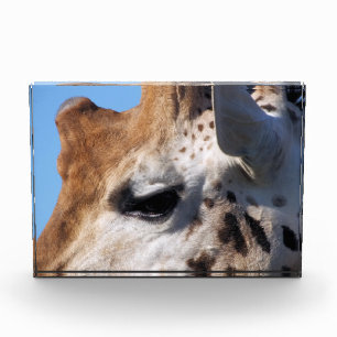 GIRAFFE FOTOBLOCK