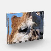 GIRAFFE FOTOBLOCK (Links)