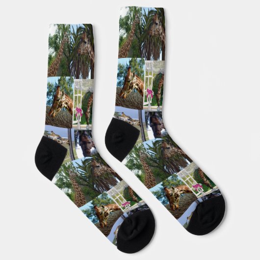 Giraffe FotoCollage, Crew Socken (Rechts)