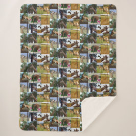 Giraffe-FotoCollage, Sherpadecke