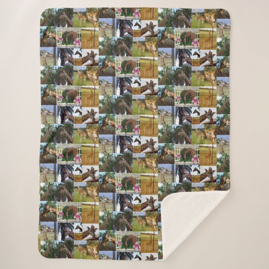 Giraffe-FotoCollage, Sherpadecke (Vorderseite)
