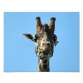 GIRAFFE FOTODRUCK (Vorne)