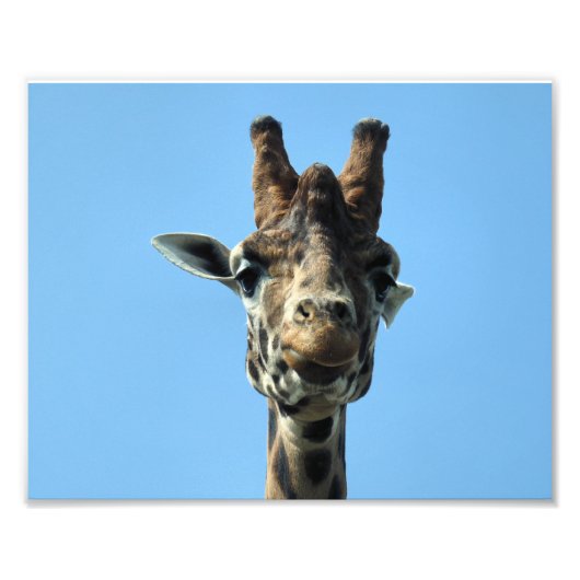 GIRAFFE FOTODRUCK (Vorne)