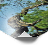 GIRAFFE FOTODRUCK (Ecke)