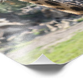Giraffe Fotodruck (Ecke)