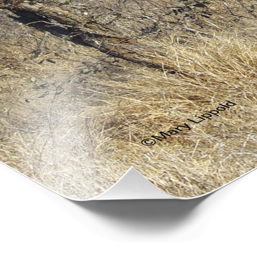 GIRAFFE FOTODRUCK (Ecke)