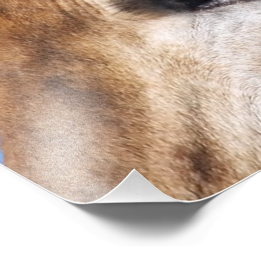 GIRAFFE FOTODRUCK (Ecke)