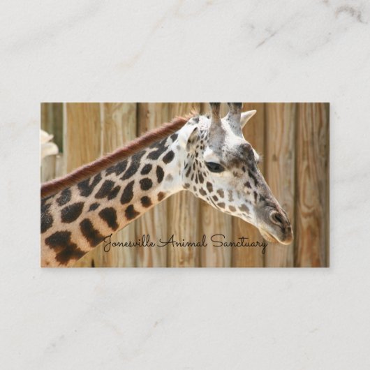 Giraffe Fotograf Business Cards Visitenkarte (Vorderseite)