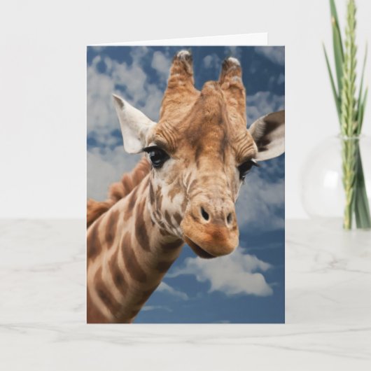 GIRAFFE FOTOGRAFIE BIRTHDAY CARD KARTE (Vorderseite)