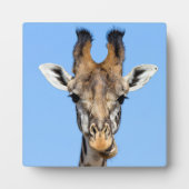 Giraffe Fotoplatte (Vorderseite)