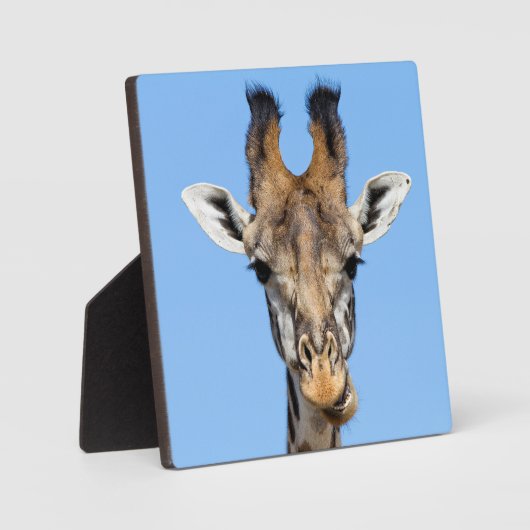 Giraffe Fotoplatte (Vorderseite)