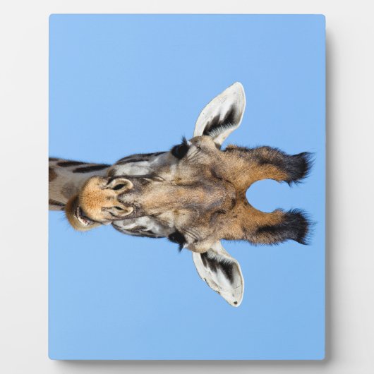 Giraffe Fotoplatte (Vorderseite)