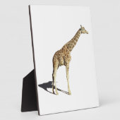 Giraffe Fotoplatte (Seite)