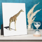 Giraffe Fotoplatte (Seite)