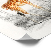 Giraffe, Französisch, Vintage Buchdarstellung 10 x Poster (Ecke)