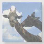 Giraffe Friends Steinuntersetzer (Vorderseite)