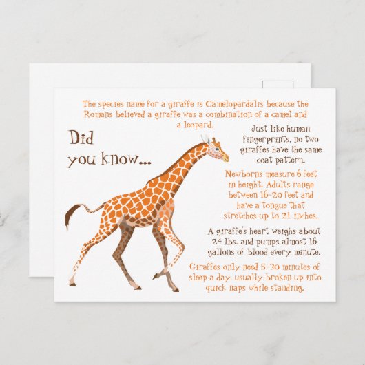Giraffe Fun Facts Wildlife Postkarte (Vorne/Hinten)