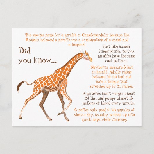 Giraffe Fun Facts Wildlife Postkarte (Vorderseite)