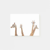Giraffe Fun Foto - Vier-Giraffen-Sitzung Post-it Klebezettel (Vorderseite)