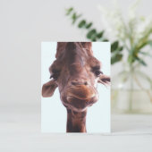 Giraffe Funny Face Postkarte (Stehend Vorderseite)