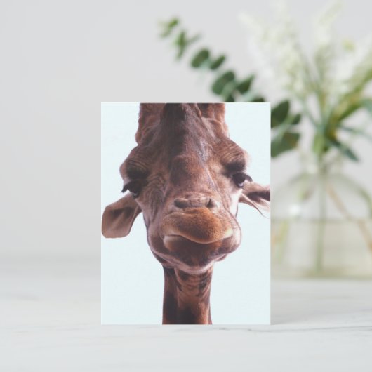 Giraffe Funny Face Postkarte (Stehend Vorderseite)