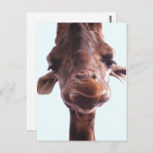 Giraffe Funny Face Postkarte (Vorne/Hinten)