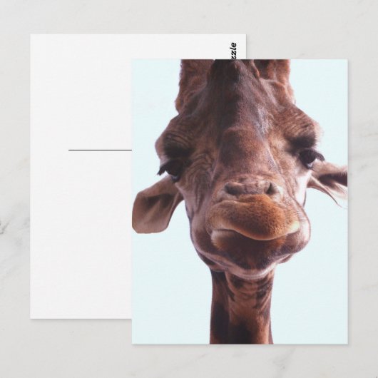 Giraffe Funny Face Postkarte (Vorne/Hinten)