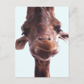 Giraffe Funny Face Postkarte (Vorderseite)