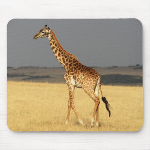 Giraffe für Afrikanische Tiere Mousepad