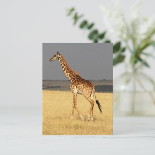 Giraffe für Afrikanische Tiere Postkarte (Stehend Vorderseite)