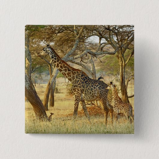 Giraffe für Erwachsene und Jugendliche, Giraffa Button (Vorderseite)