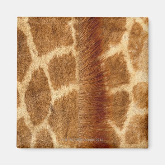 Giraffe Fur Magnet (Vorne)