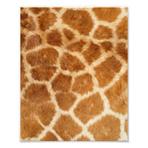 Giraffe Fur Print Fotodruck