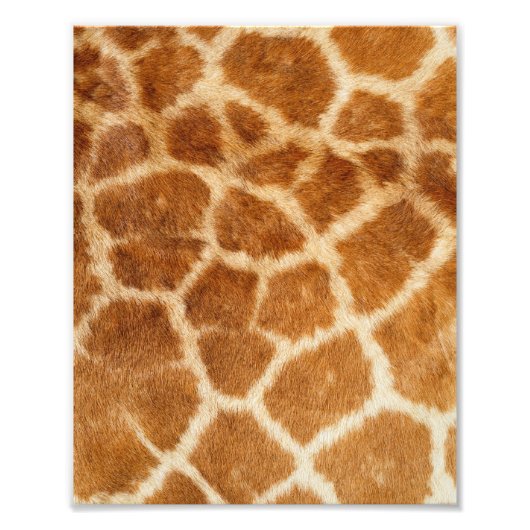 Giraffe Fur Print Fotodruck (Vorne)