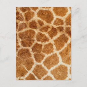Giraffe Fur Print Postkarte