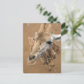 Giraffe Gaze Postcard Postkarte (Stehend Vorderseite)