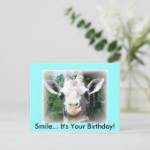 Giraffe Geburtstags-Postkarte Postkarte (Stehend Vorderseite)