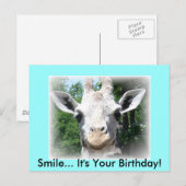 Giraffe Geburtstags-Postkarte Postkarte (Vorne/Hinten)