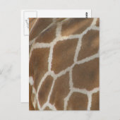 Giraffe Gemusterte Postkarte (Vorne/Hinten)