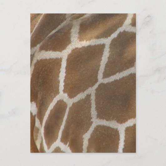 Giraffe Gemusterte Postkarte (Vorderseite)