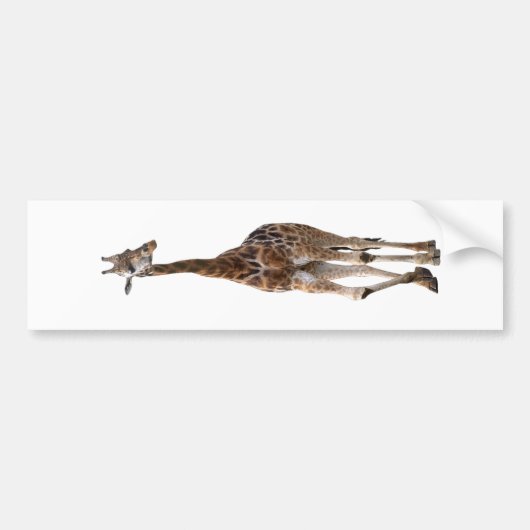 Giraffe genannter Spitze-Spitzen-Autoaufkleber.! Autoaufkleber (Vorne)
